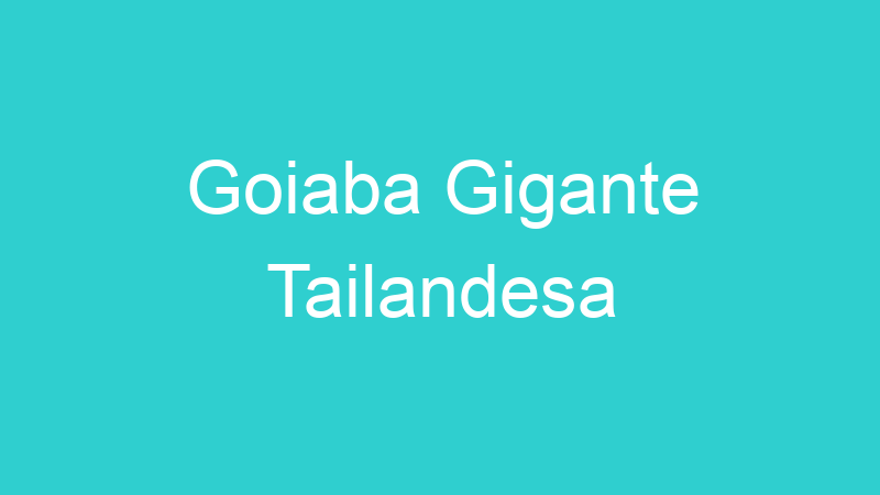 Goiaba Gigante Tailandesa