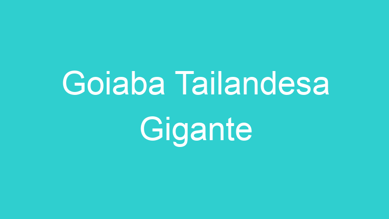 Goiaba Tailandesa Gigante