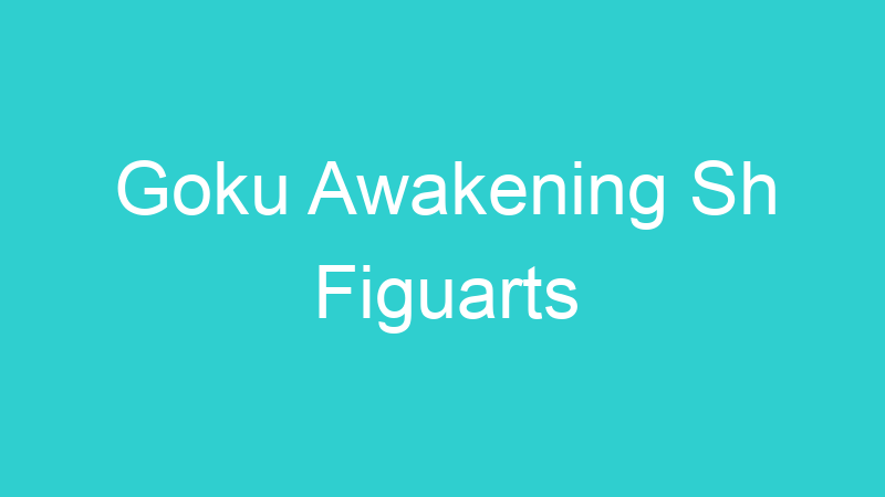 Goku Awakening Sh Figuarts