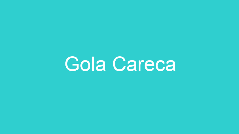 Gola Careca