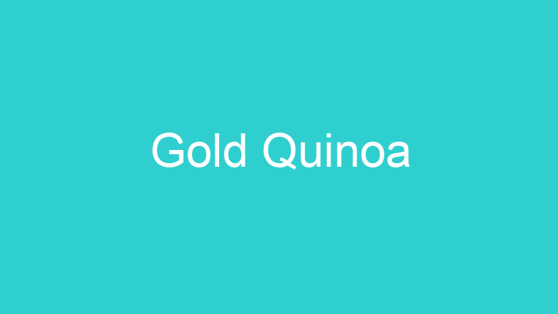 Gold Quinoa