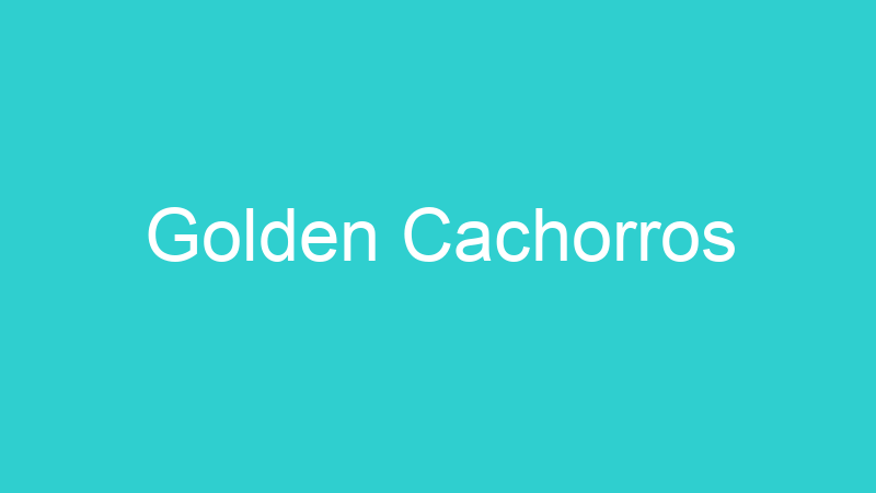 Golden Cachorros