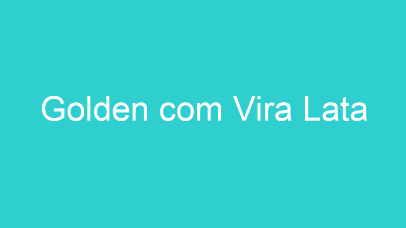 Golden com Vira Lata