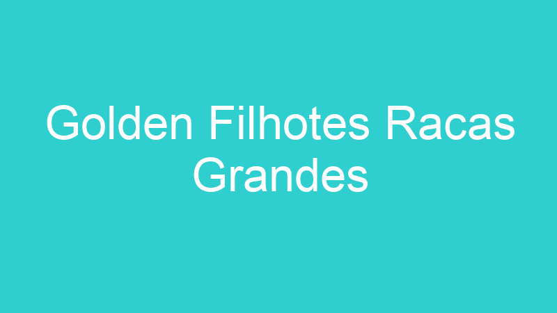Golden Filhotes Racas Grandes