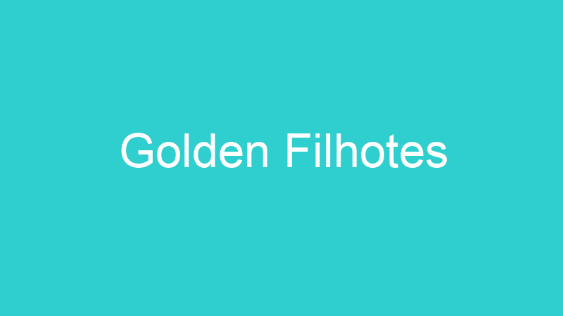 Golden Filhotes
