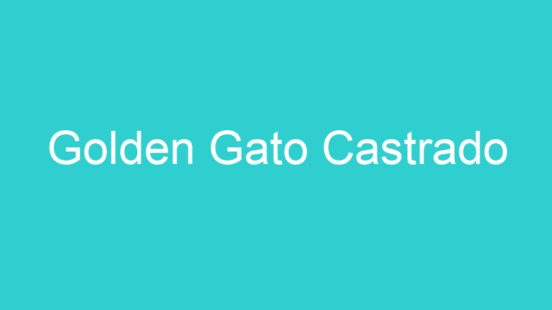 Golden Gato Castrado