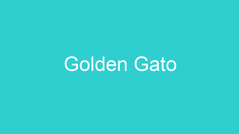 Golden Gato