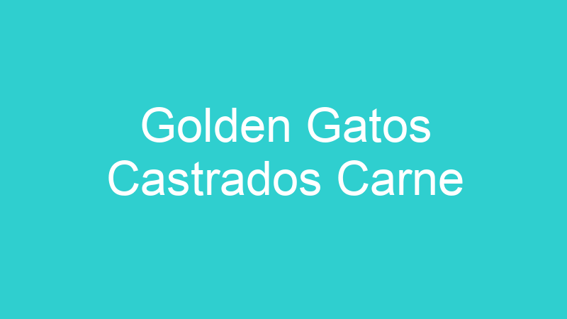 Golden Gatos Castrados Carne