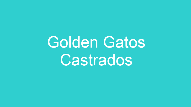 Golden Gatos Castrados