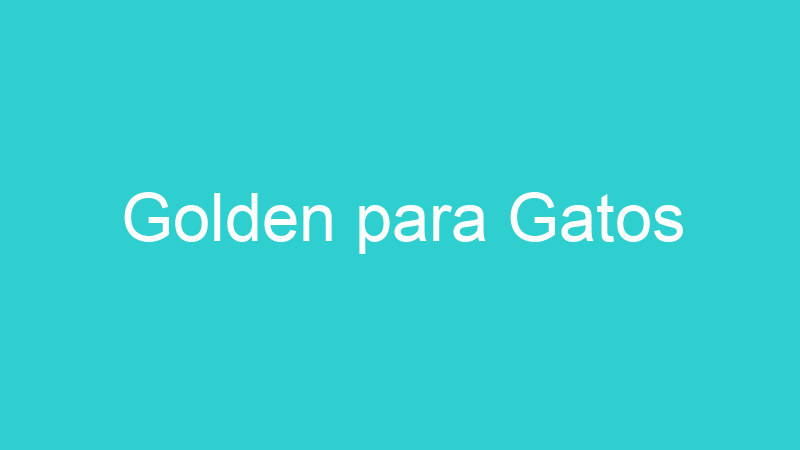 Golden para Gatos