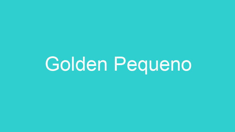 Golden Pequeno