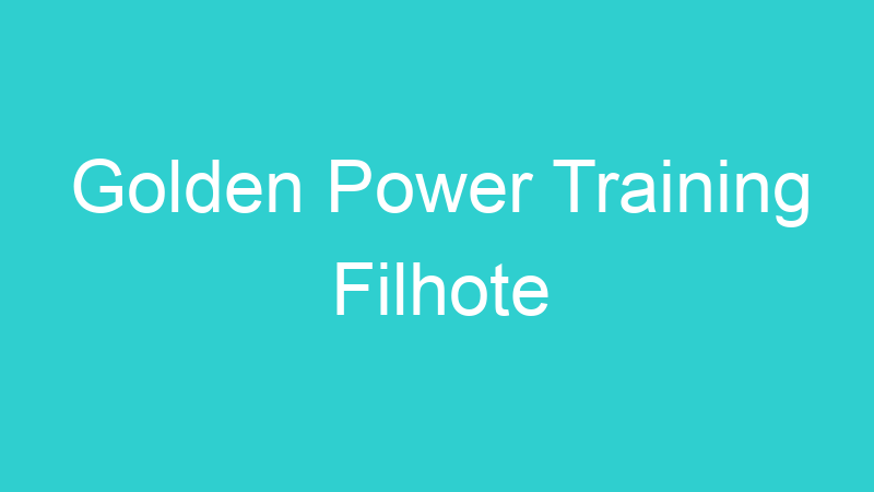 Golden Power Training Filhote