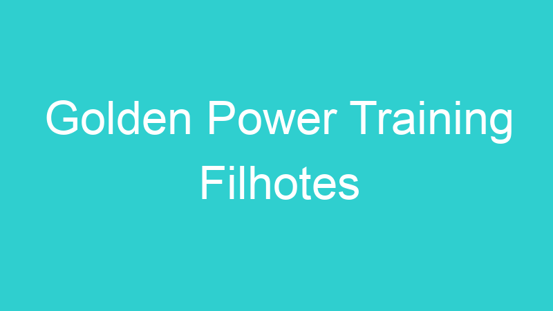 Golden Power Training Filhotes