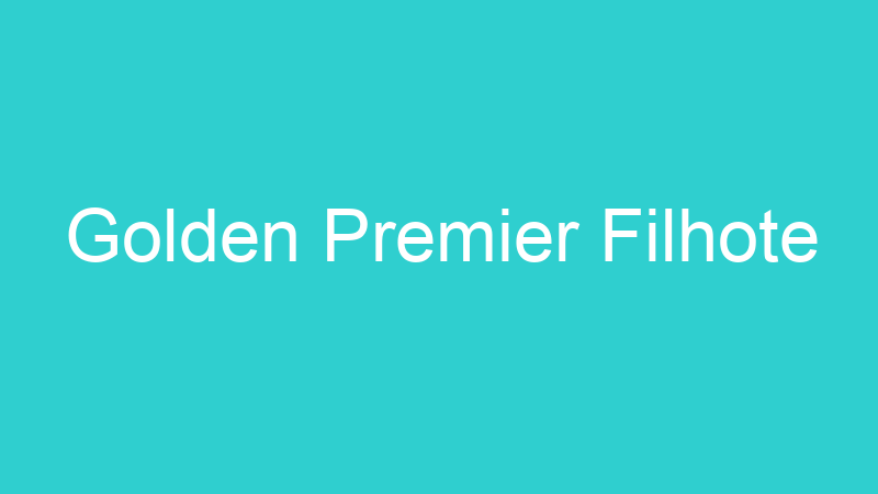 Golden Premier Filhote