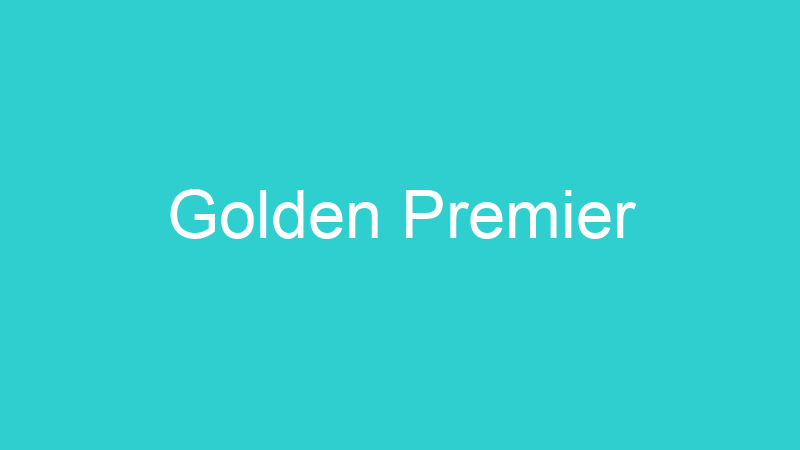 Golden Premier