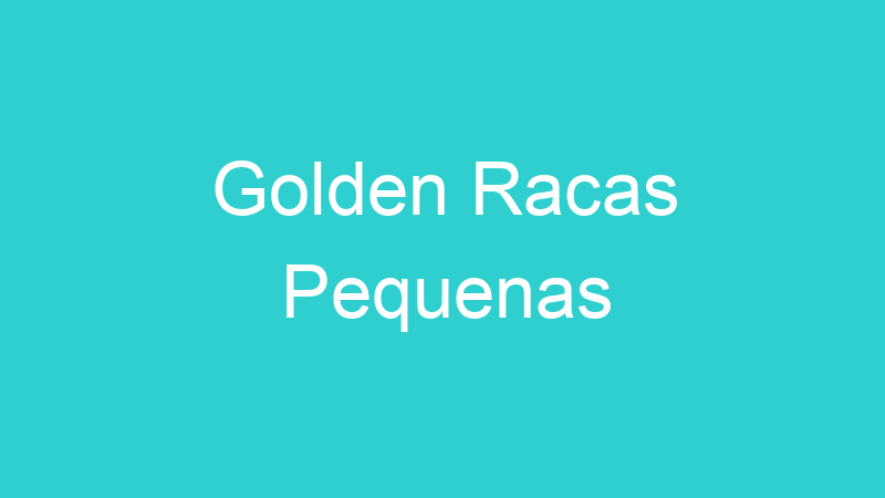 Golden Racas Pequenas