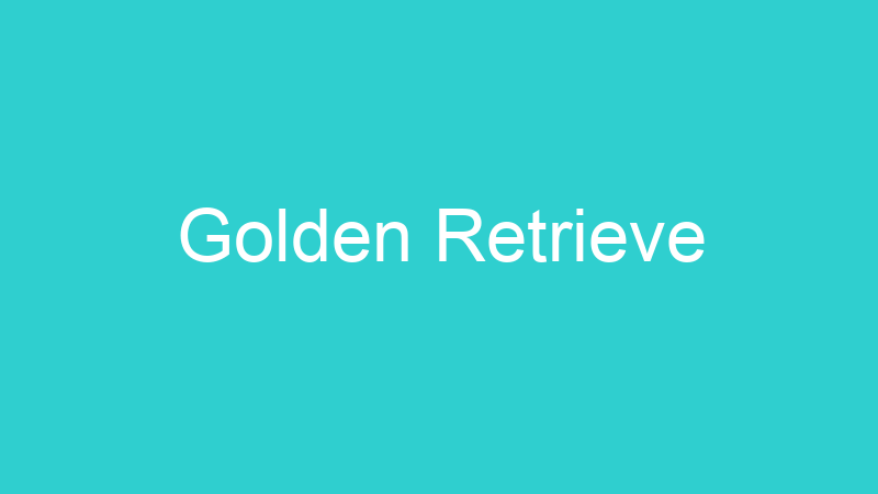Golden Retrieve