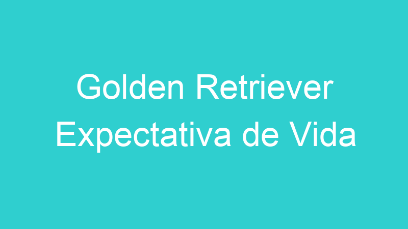 Golden Retriever Expectativa de Vida
