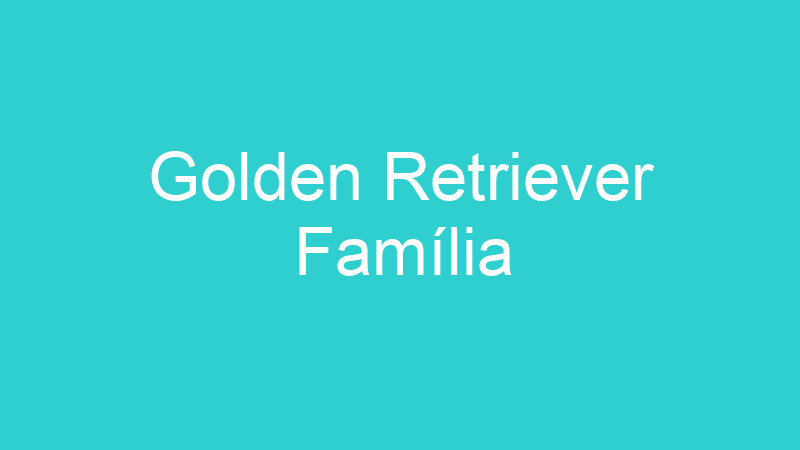 Golden Retriever Família