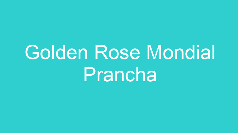 Golden Rose Mondial Prancha