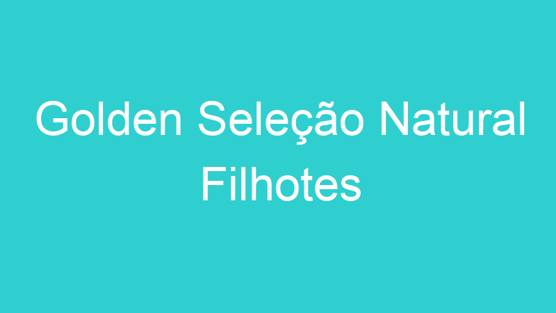 Golden Seleção Natural Filhotes