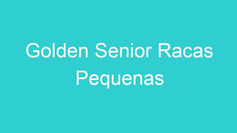 Golden Senior Racas Pequenas