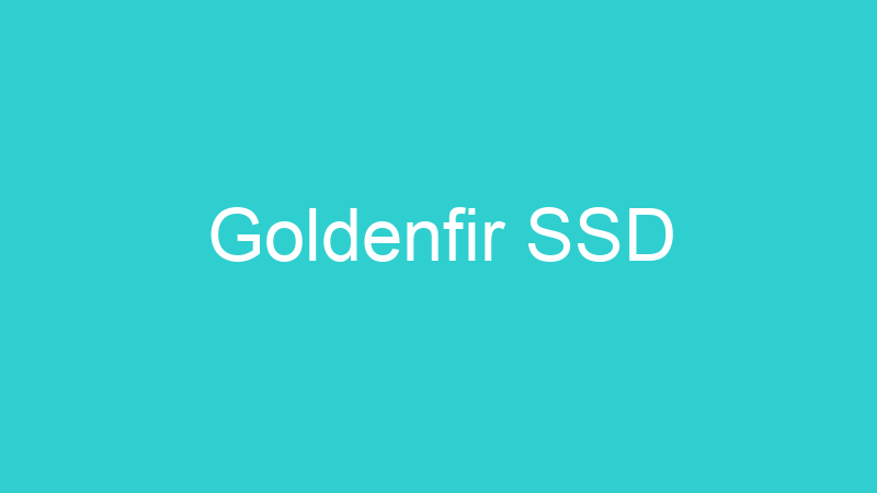 Goldenfir SSD