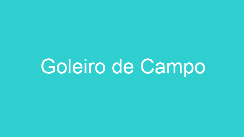 Goleiro de Campo