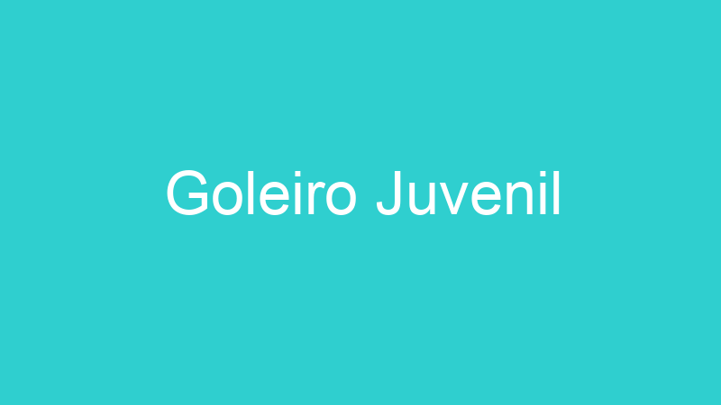 Goleiro Juvenil