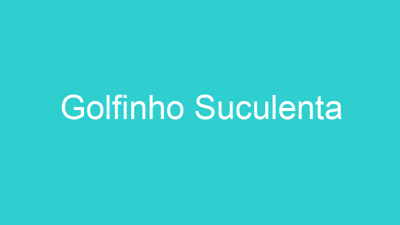 Golfinho Suculenta