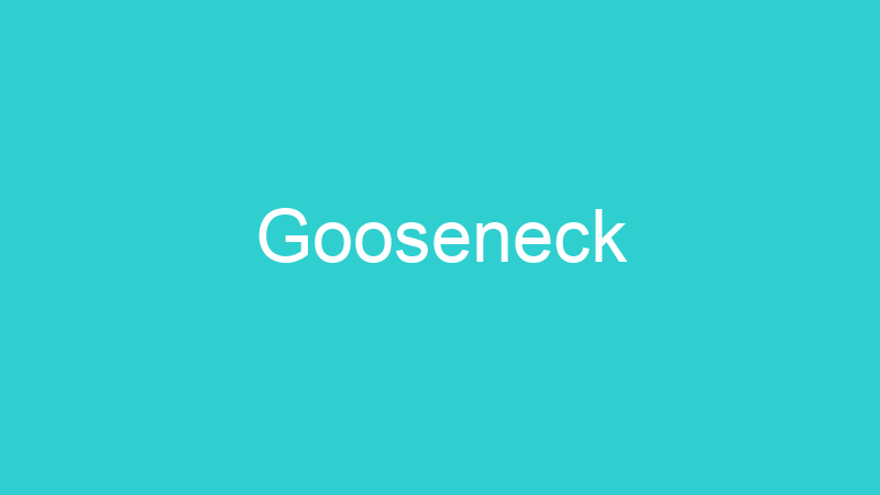 Gooseneck