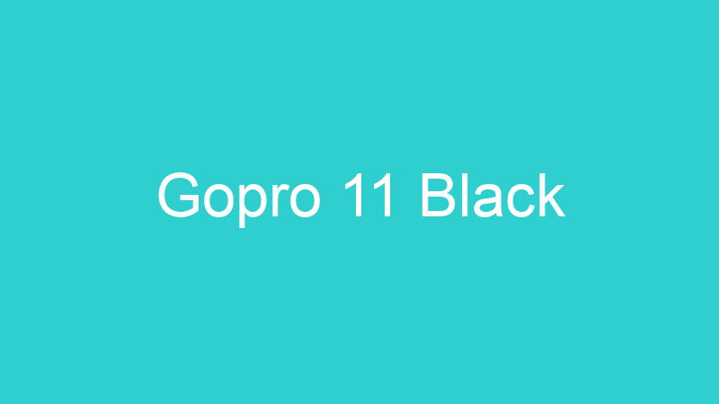 Gopro 11 Black