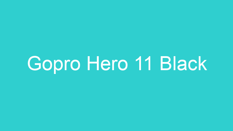 Gopro Hero 11 Black