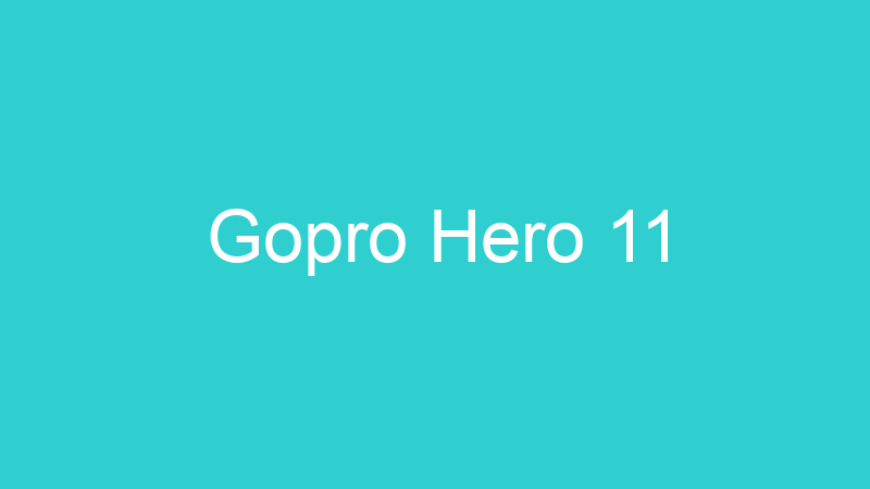 Gopro Hero 11