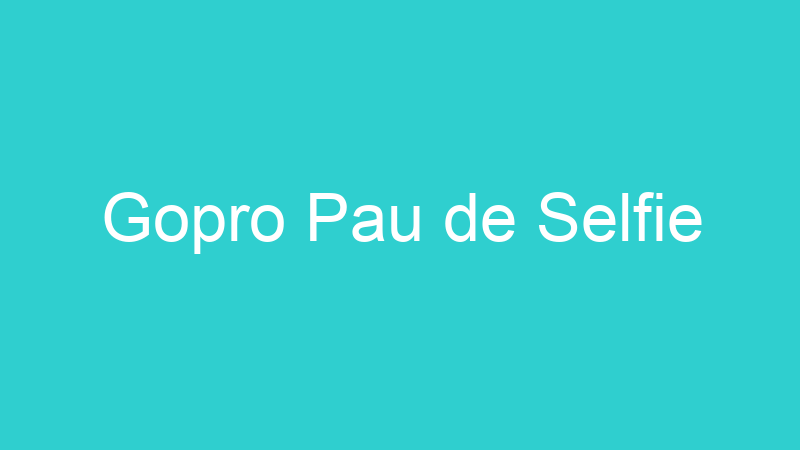 Gopro Pau de Selfie