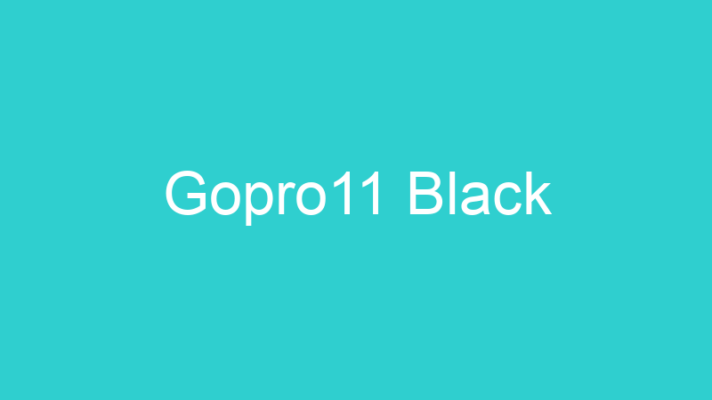 Gopro11 Black