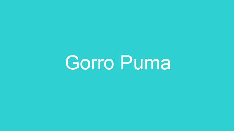 Gorro Puma