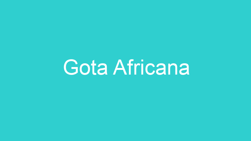 Gota Africana