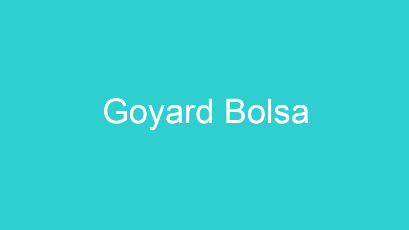 Goyard Bolsa