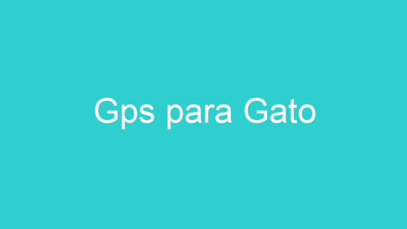 Gps para Gato