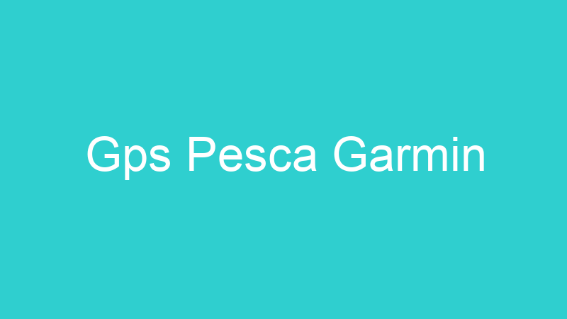 Gps Pesca Garmin