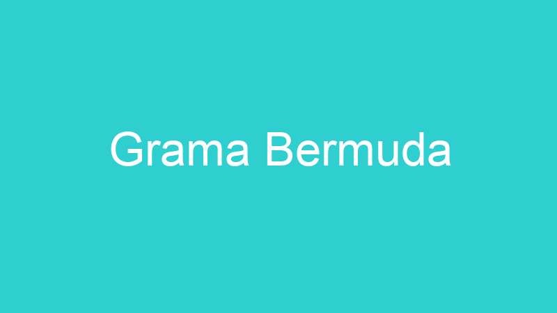 Grama Bermuda
