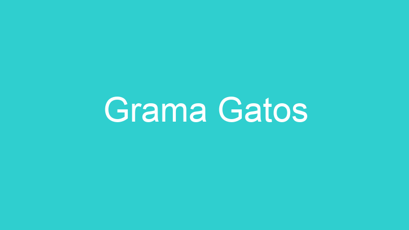 Grama Gatos