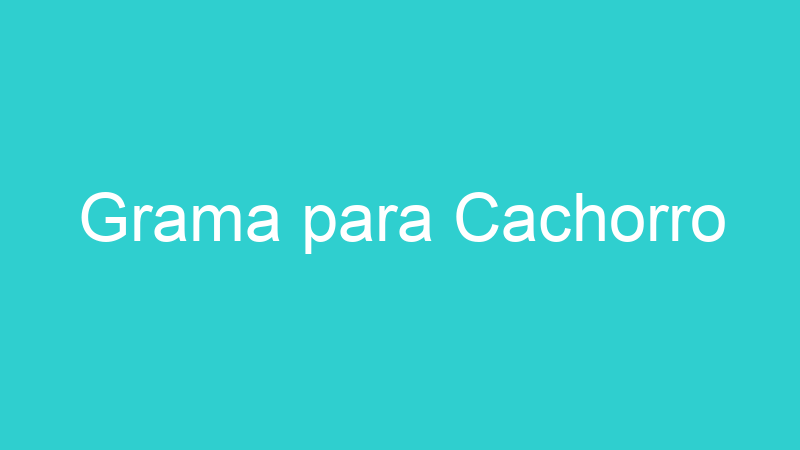 Grama para Cachorro