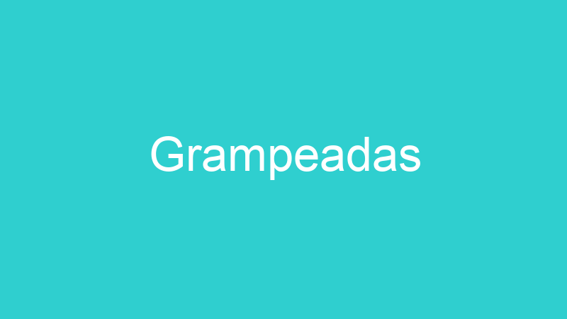 Grampeadas
