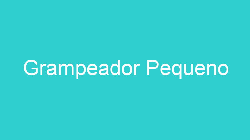Grampeador Pequeno