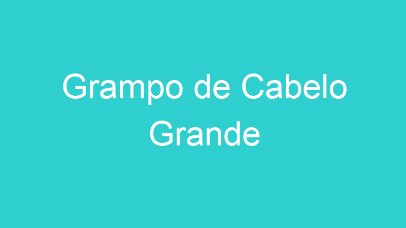 Grampo de Cabelo Grande