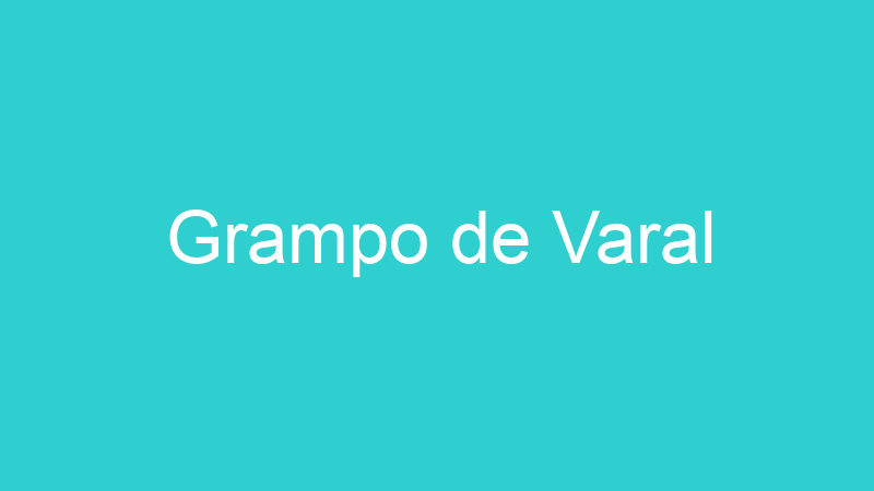 Grampo de Varal