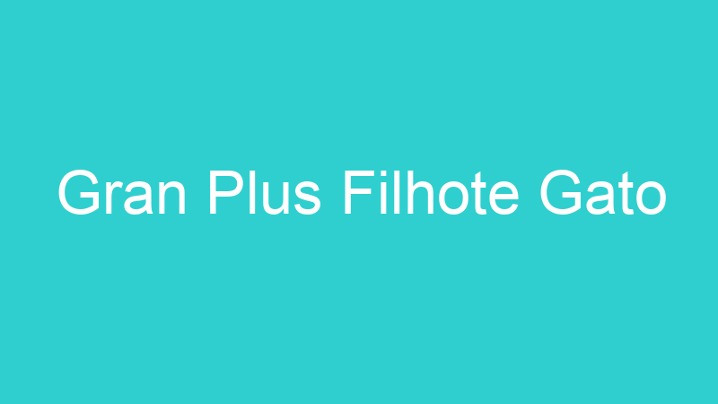 Gran Plus Filhote Gato
