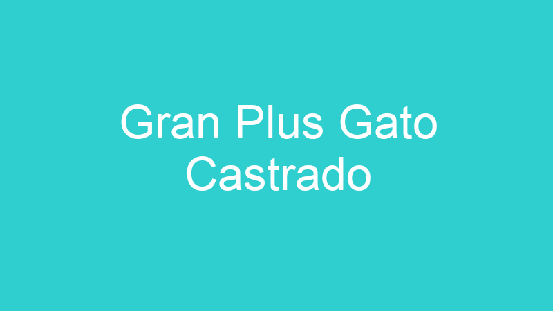 Gran Plus Gato Castrado